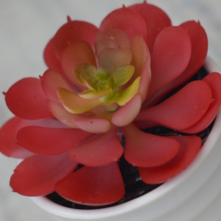 Plantes artificielles Décoratives rouge pot en Céramique blanc naturel