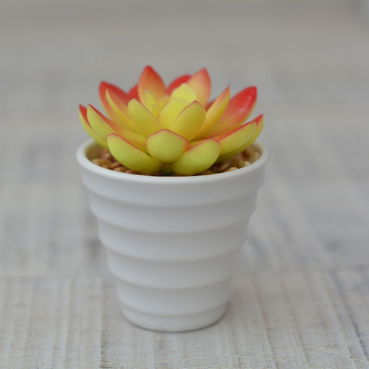 Impianto artificiale Decorativa rosso-giallo colore in vaso in Ceramica bianco Naturale