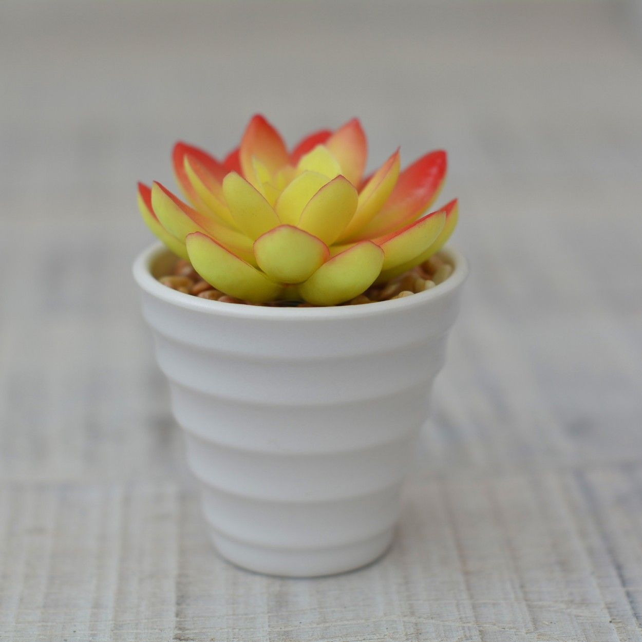 Planta Artificial Decorativa color amarillo rojizo en maceta de Cerámica Natural blanca