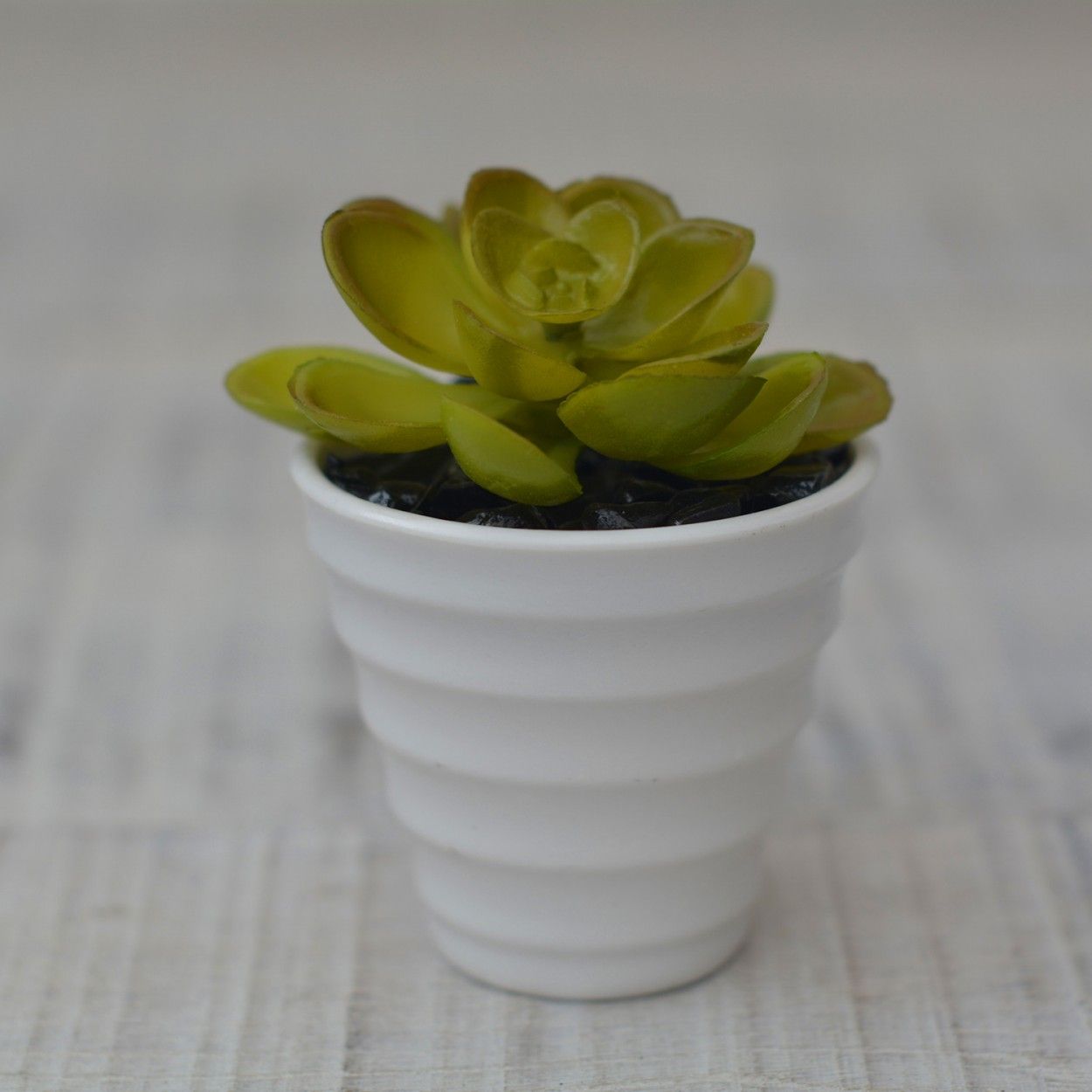 Impianto artificiale Decorativo verde vaso in Ceramica bianco Naturale