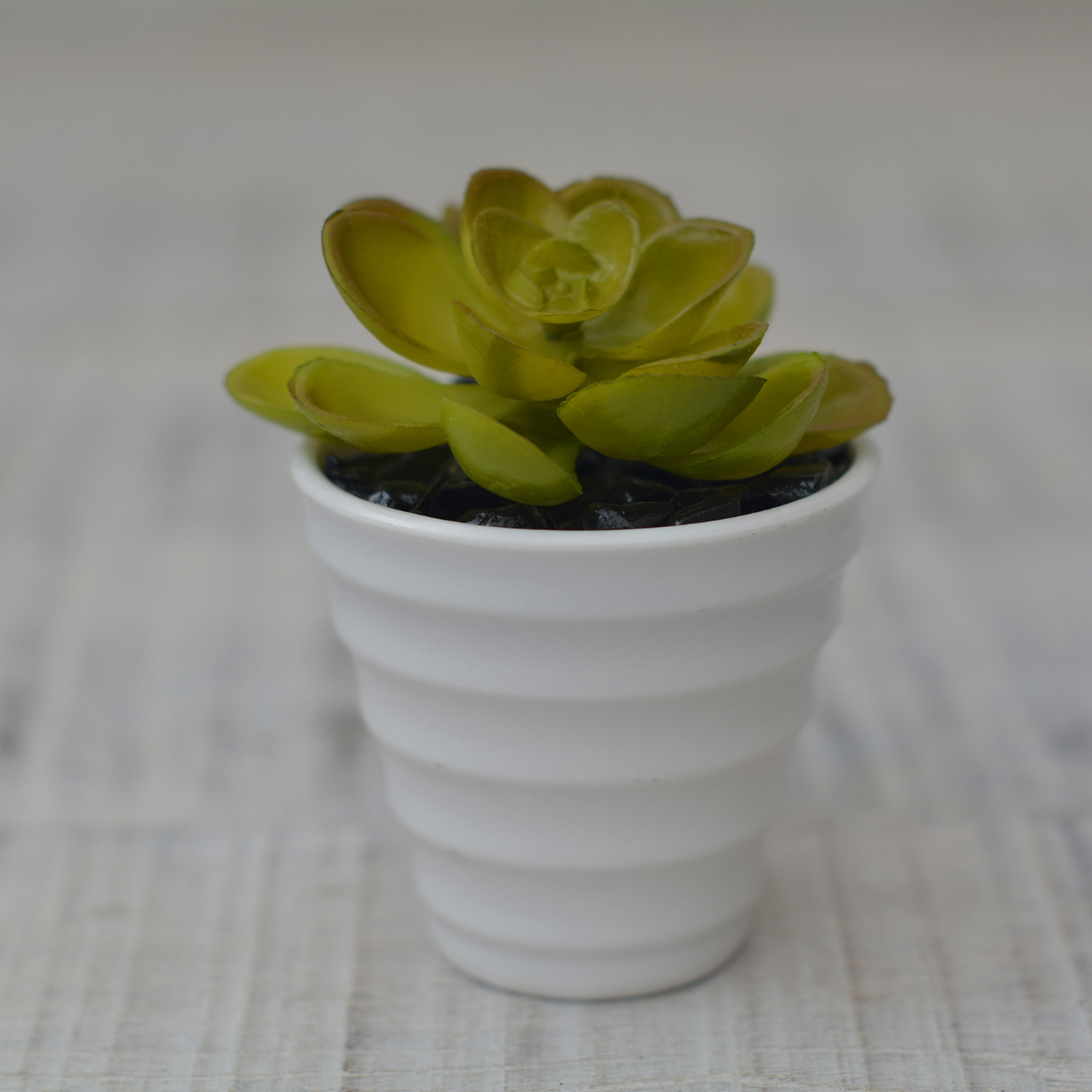 Impianto artificiale Decorativo verde vaso in Ceramica bianco Naturale