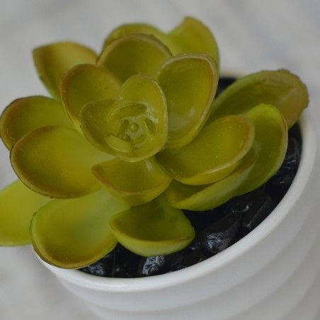 Plantes artificielles Décoratives en Céramique vert pot blanc Naturel