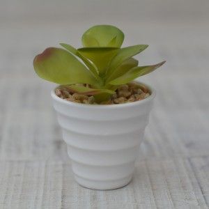 Plantes artificielles Décoratives en Céramique vert Pot blanc Naturel