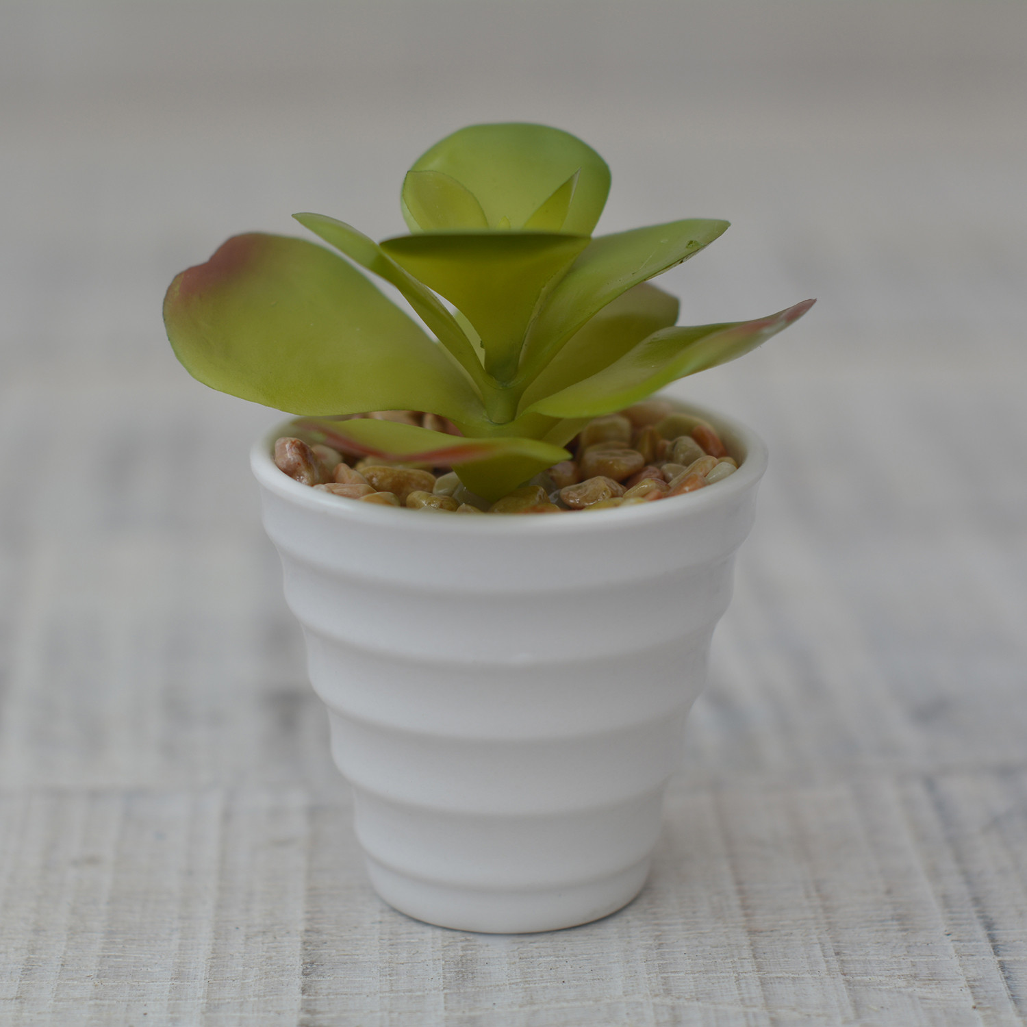 Artificial plant Decorative green Ceramic Pot Natural white