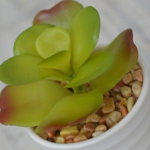 Artificial plant Decorative green Ceramic Pot Natural white