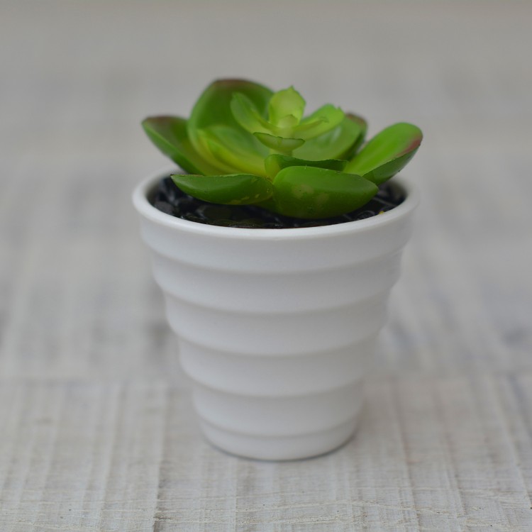 Artificial plant Decorative green Ceramic pot Natural white