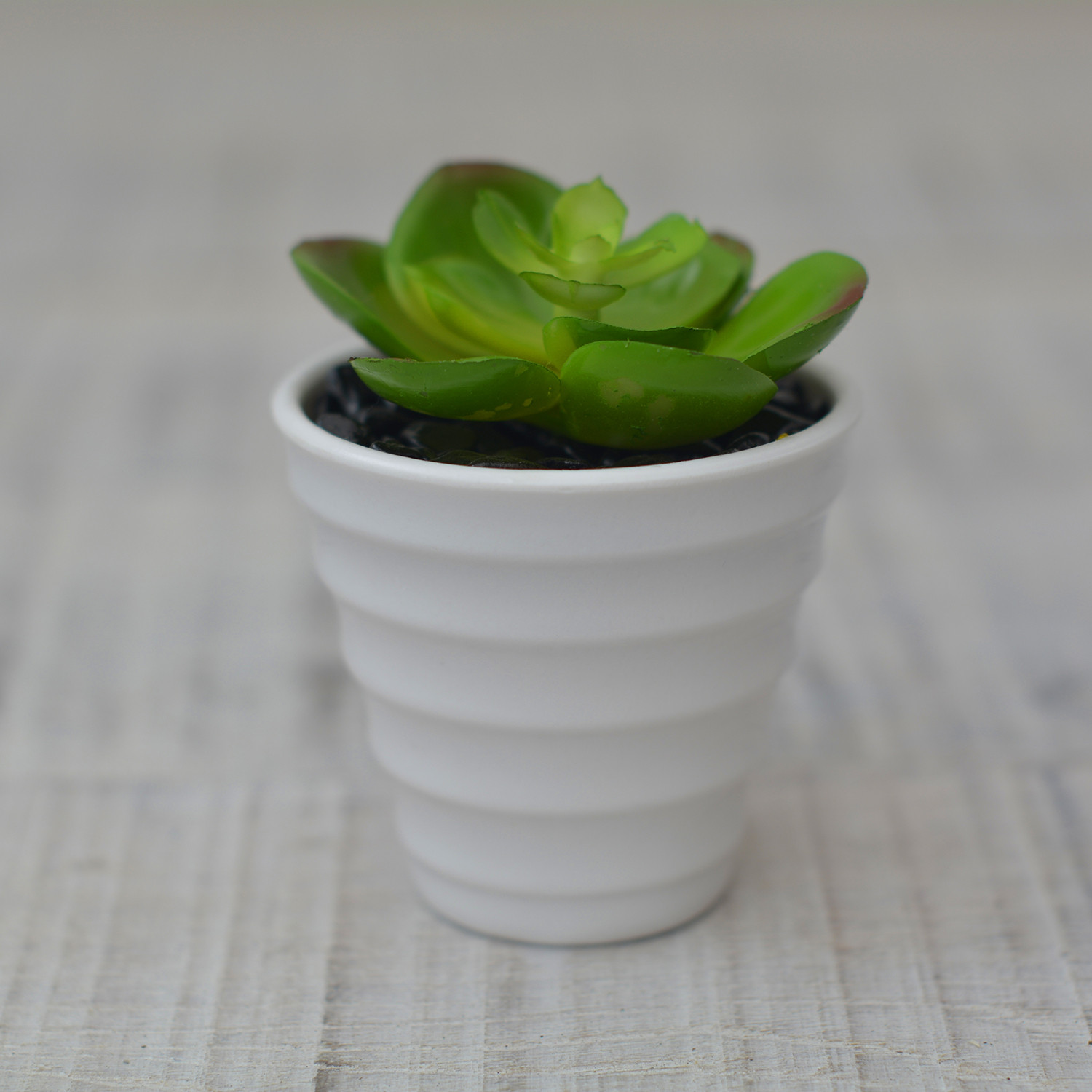 Artificial plant Decorative green Ceramic pot Natural white