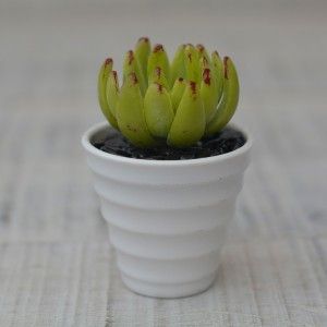 Impianto artificiale Decorativo verde Vaso in Ceramica bianco Naturale
