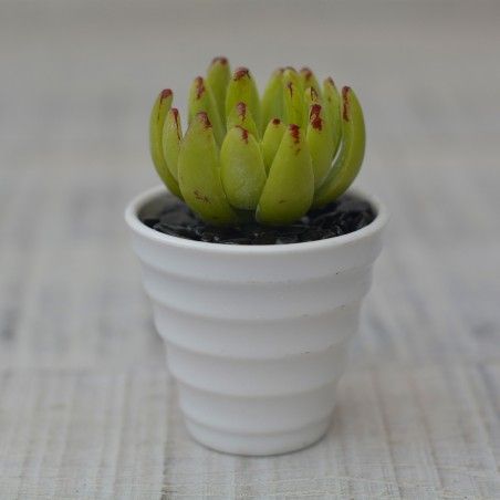 Artificial plant Decorative green Ceramic Pot Natural white