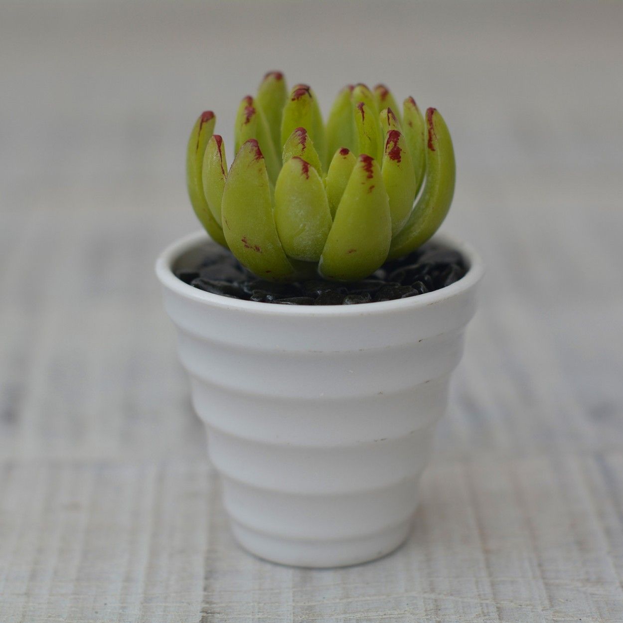 Artificial plant Decorative green Ceramic Pot Natural white