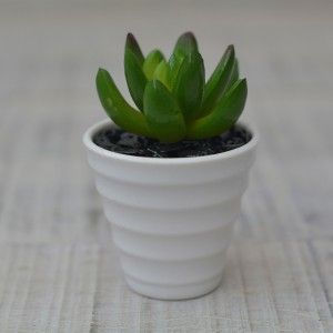 Plantes artificielles Décoratives en Céramique Vert Pot blanc Naturel