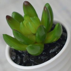 Artificial plant Decorative Green Ceramic Pot Natural white