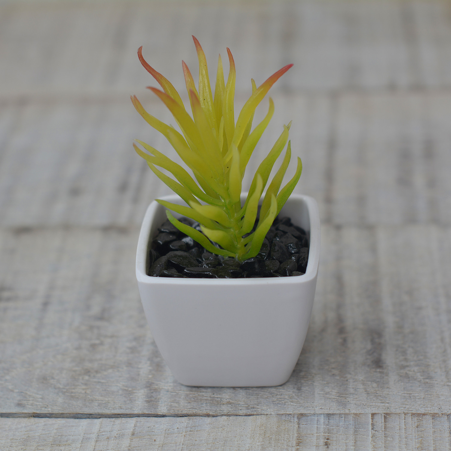 Impianto artificiale con Vaso Quadrato in Ceramica Naturale, Sottili Fogli di Chiara Casa e di Più