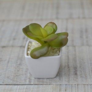 Impianto artificiale con Vaso Quadrato in Ceramica Naturale, Foglie Larghe a Casa e Più