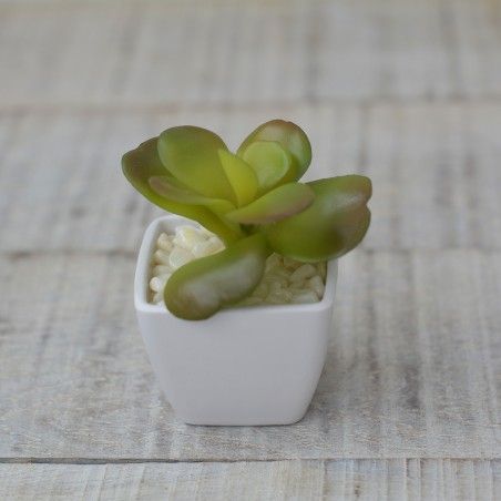 Artificial plant with Pot Square Ceramic Natural Broad Leaves Home and More
