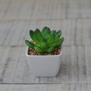 Plantes artificielles avec Pot Carré en Céramique Naturelle Ouvrir les Feuilles de la Maison et de Plus