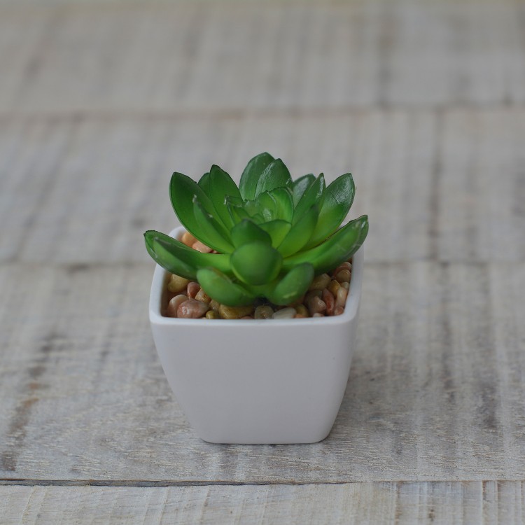 Planta Artificial con Maceta Cuadrada de Cerámica Natural Hojas Abiertas Hogar y Más