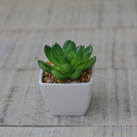 Artificial plant with Pot Square Ceramic Natural Open Sheets Home and More