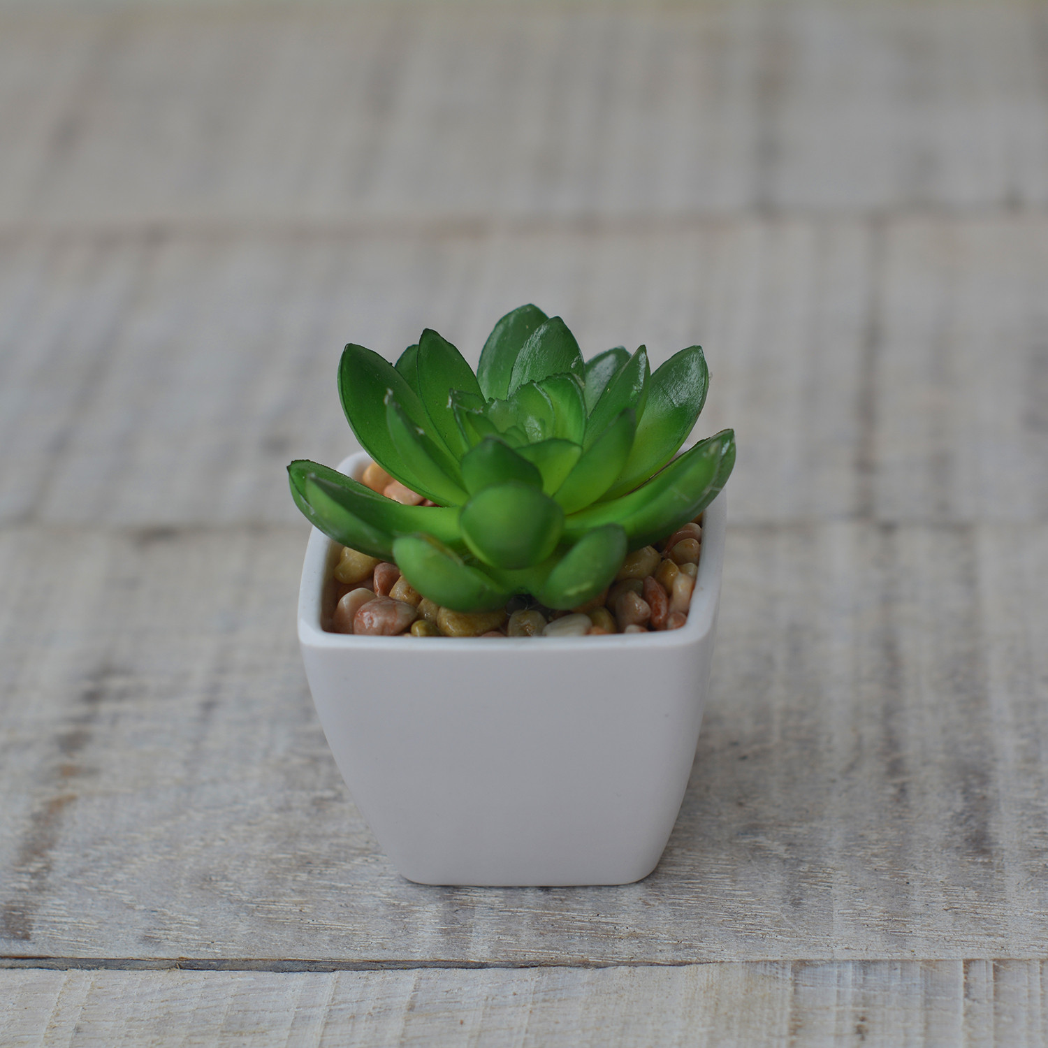 Planta Artificial con Maceta Cuadrada de Cerámica Natural Hojas Abiertas Hogar y Más