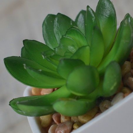 Planta Artificial con Maceta Cuadrada de Cerámica Natural Hojas Abiertas Hogar y Más