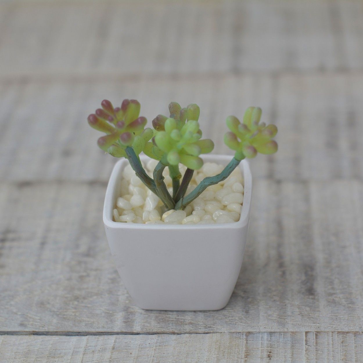 Artificial plant with Pot Square Ceramic Natural Round Home and More