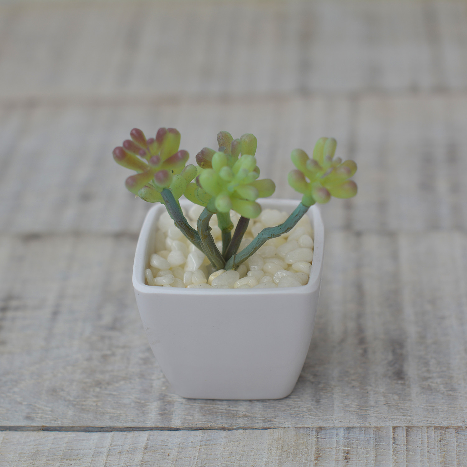 Planta Artificial con Maceta Cuadrada de Cerámica Natural Redondas Hogar y Más