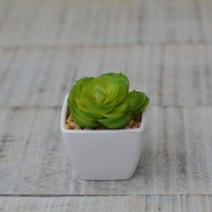 Impianto artificiale con Vaso Quadrato in Ceramica Naturale nel Verde Casa e di Più
