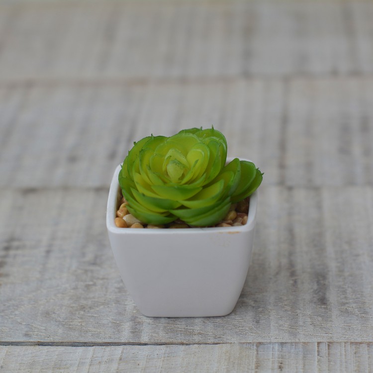Artificial plant with Pot Square Ceramic Natural Open Green Home and More