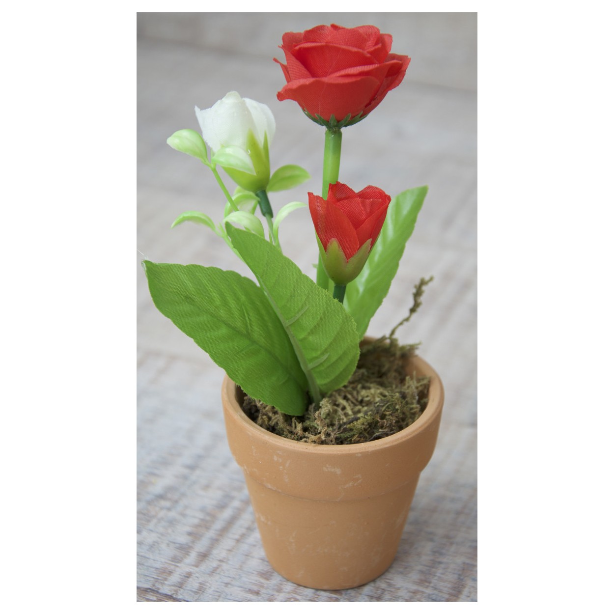 Impianto artificiale Fiore Rosso in Vaso di Argilla Naturale a Casa e Più