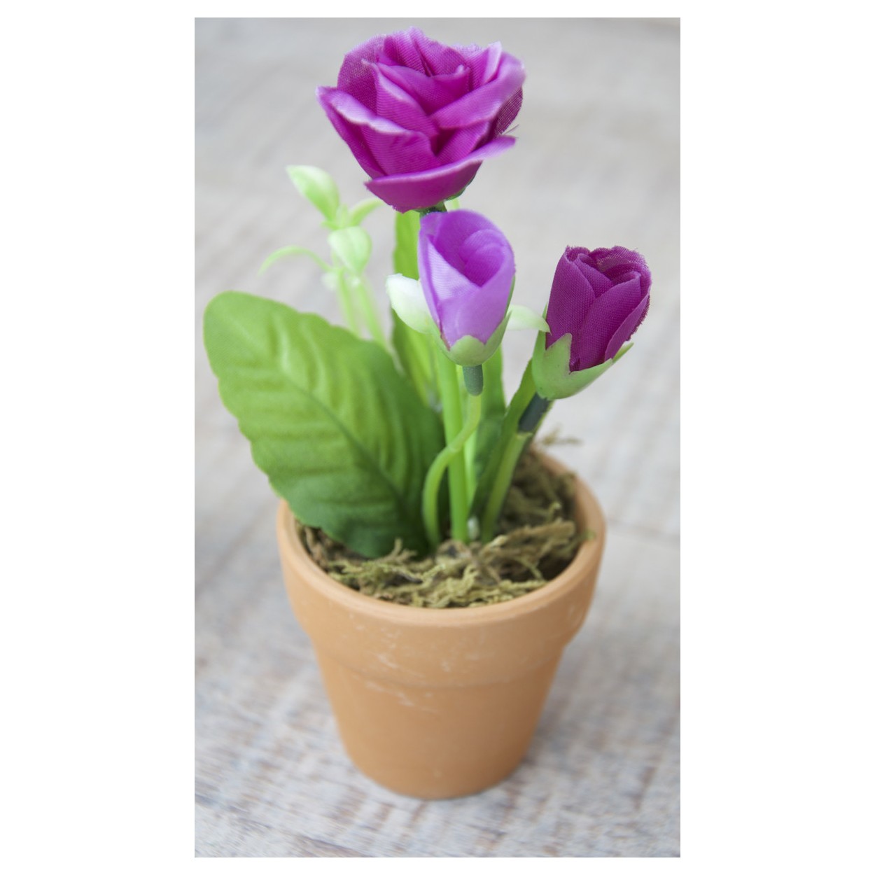 Plantes artificielles Fleur Pourpre dans le Pot d'Argile, Naturels la Maison et Plus