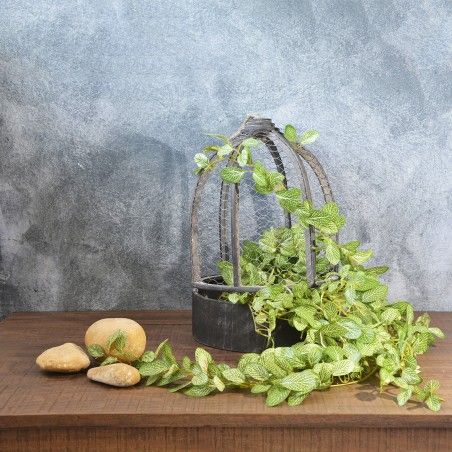 Gabbia in Legno Naturale Marrone Decorazione, Due Unità di Casa e di Più