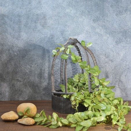 Gabbia in Legno Naturale Marrone Decorazione, Due Unità di Casa e di Più