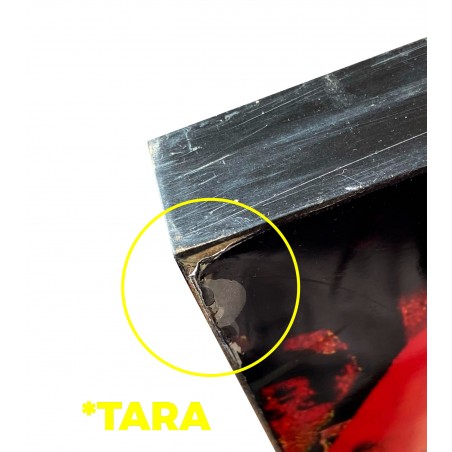 *TARA* CUADRO DECORATIVO FOTOIMPRESIÓN ACTRICES 80X80CM