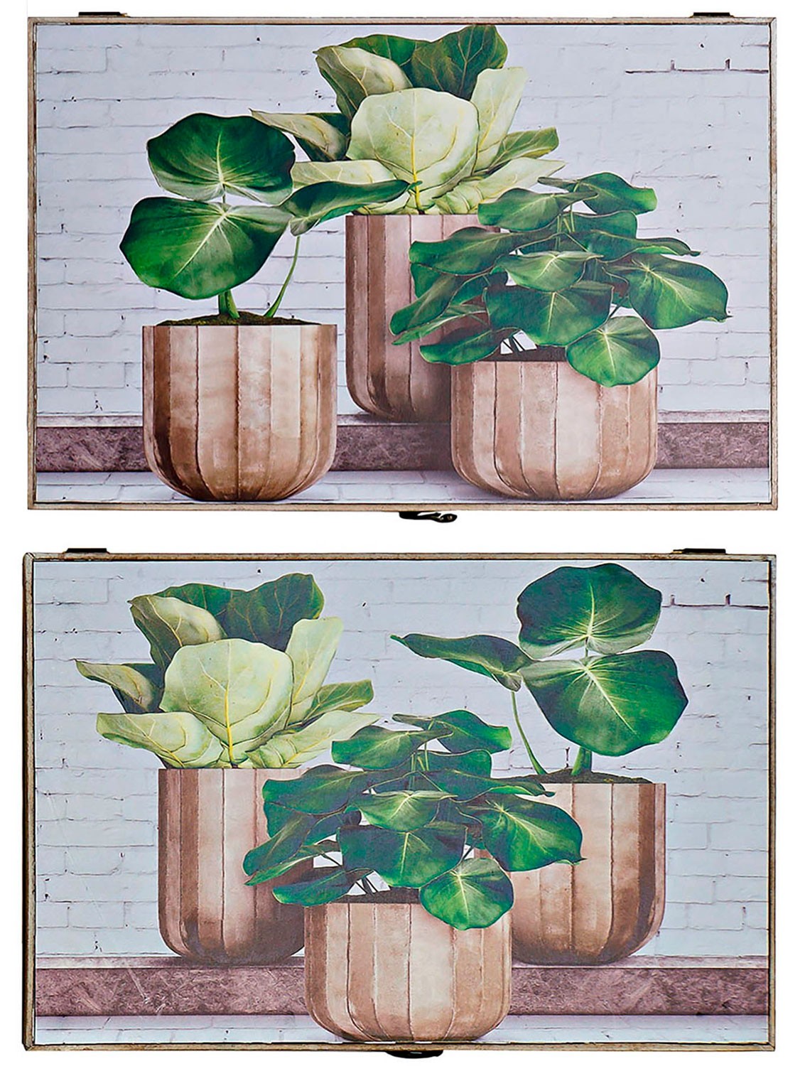 TAPA CONTADOR CUADRO LUZ PLANTAS MADERA 46X6X31CM