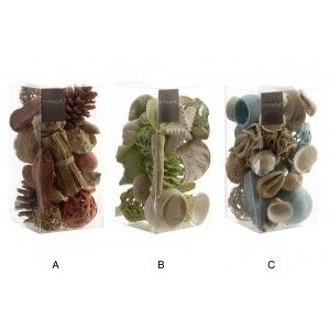 Home and more - Natural Shells for decoration. 3 models