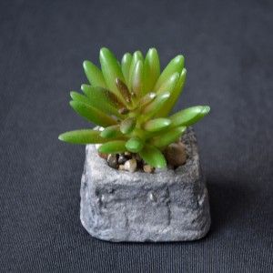 Pianta del Cactus artificiale stimolante con vaso di pietra naturale sul Set di Stile Zen. - Casa e altro ancora