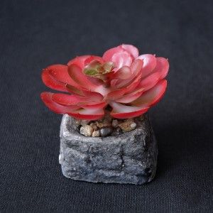 Pianta del Cactus artificiale stimolante con vaso di pietra naturale sul Set di Stile Zen. - Casa e altro ancora