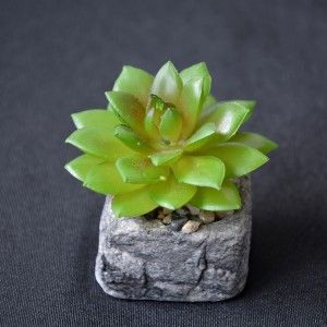 Planta de Cactus artificial inspiradora con maceta de piedra natural en Set Estilo Zen. - Hogar y más
