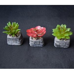 Pianta del Cactus artificiale stimolante con vaso di pietra naturale sul Set di Stile Zen. - Casa e altro ancora