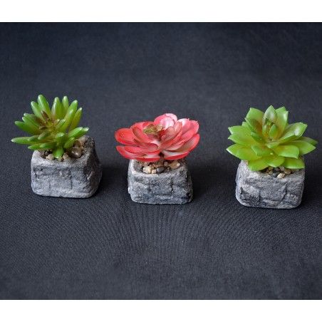 Cactus artificiel inspirante avec un pot de pierre naturelle sur l'Ensemble de la Zen Style. - La maison et plus