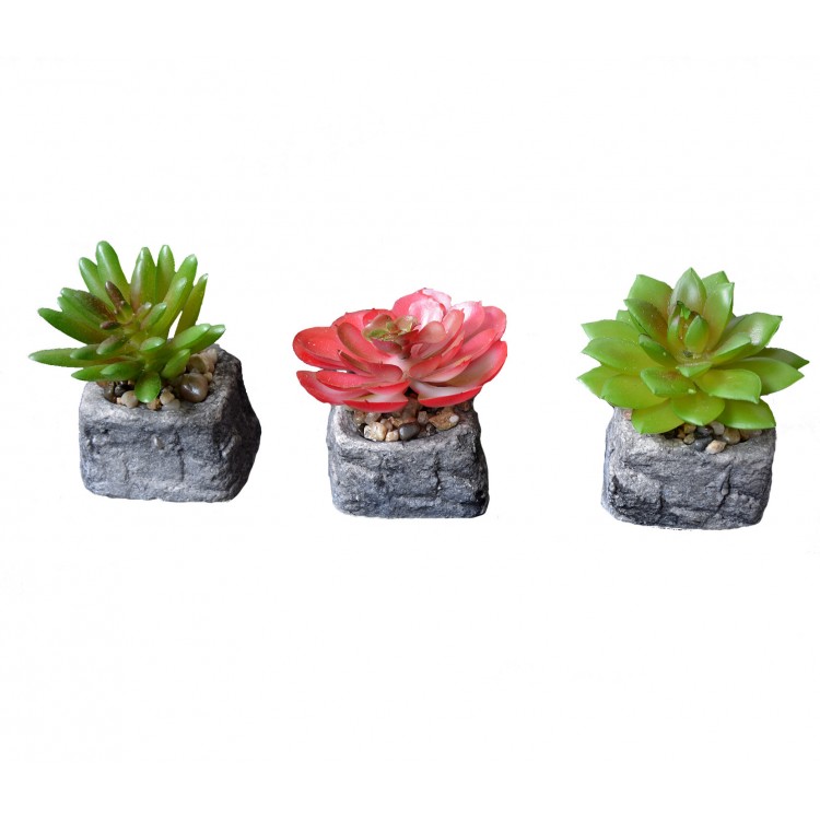 Pianta del Cactus artificiale stimolante con vaso di pietra naturale sul Set di Stile Zen. - Casa e altro ancora