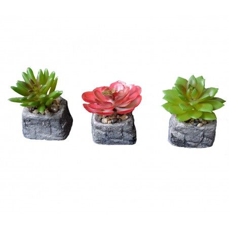 Pianta del Cactus artificiale stimolante con vaso di pietra naturale sul Set di Stile Zen. - Casa e altro ancora