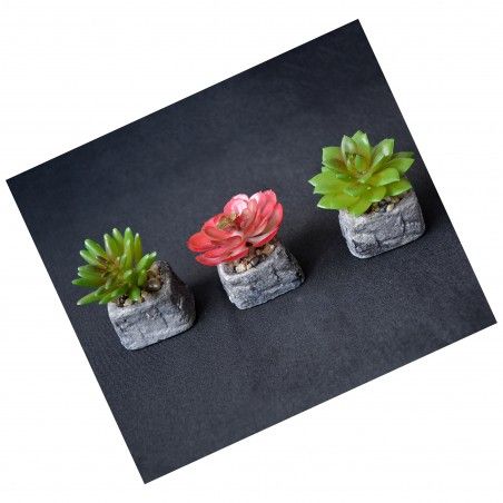 Cactus artificiel inspirante avec un pot de pierre naturelle sur l'Ensemble de la Zen Style. - La maison et plus
