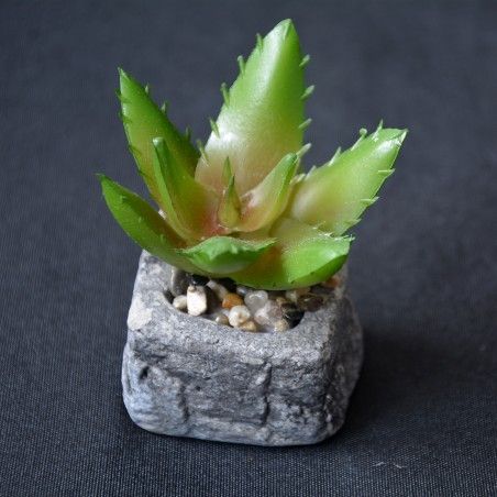 Cactus plant artificial inspiring with pot of natural stone on Set of the Zen Style. - Home and more