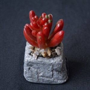 Cactus plant artificial inspiring with pot of natural stone on Set of the Zen Style. - Home and more