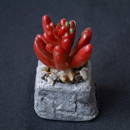 Planta de Cactus artificial inspiradora con maceta de piedra natural en Set Estilo Zen. - Hogar y más