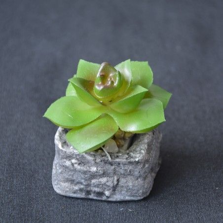 Cactus plant artificial inspiring with pot of natural stone on Set of the Zen Style. - Home and more