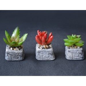 Cactus plant artificial inspiring with pot of natural stone on Set of the Zen Style. - Home and more