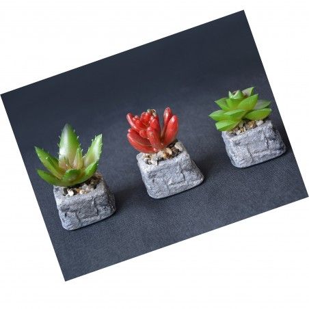 Cactus plant artificial inspiring with pot of natural stone on Set of the Zen Style. - Home and more