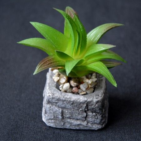 Cactus plant artificial inspiring with pot of natural stone on Set of the Zen Style. - Home and more